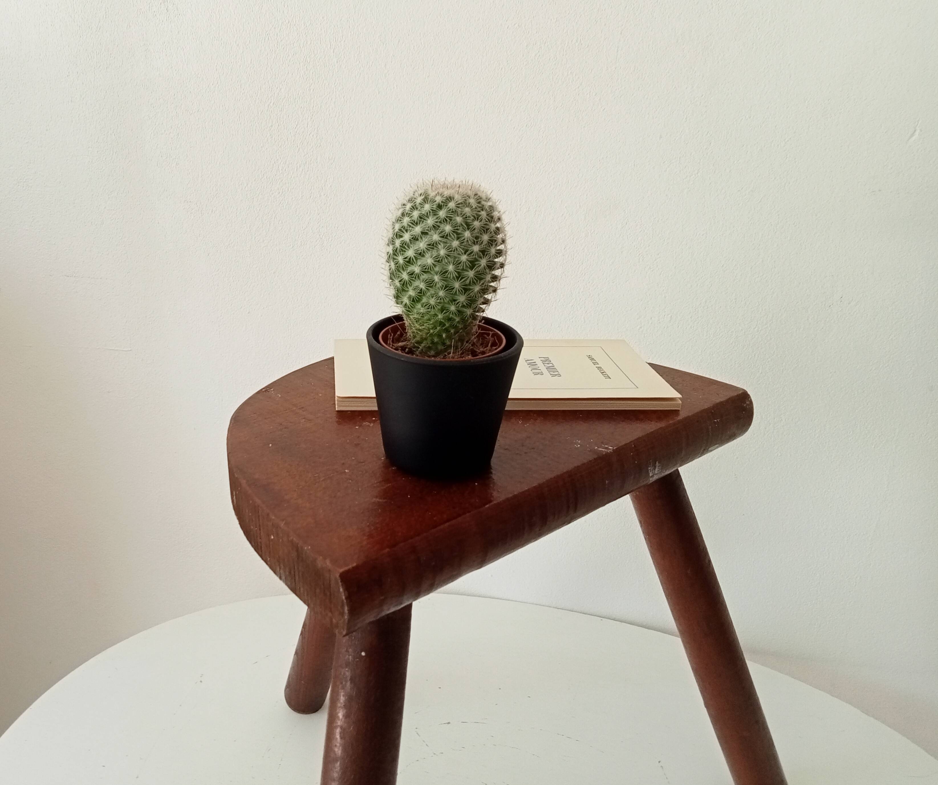 Vintage wooden tripod stool