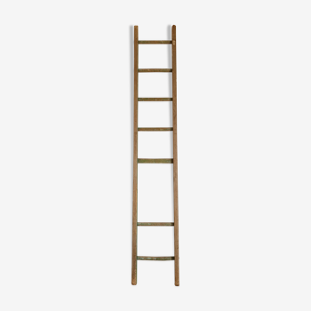 Wooden ladder patina green