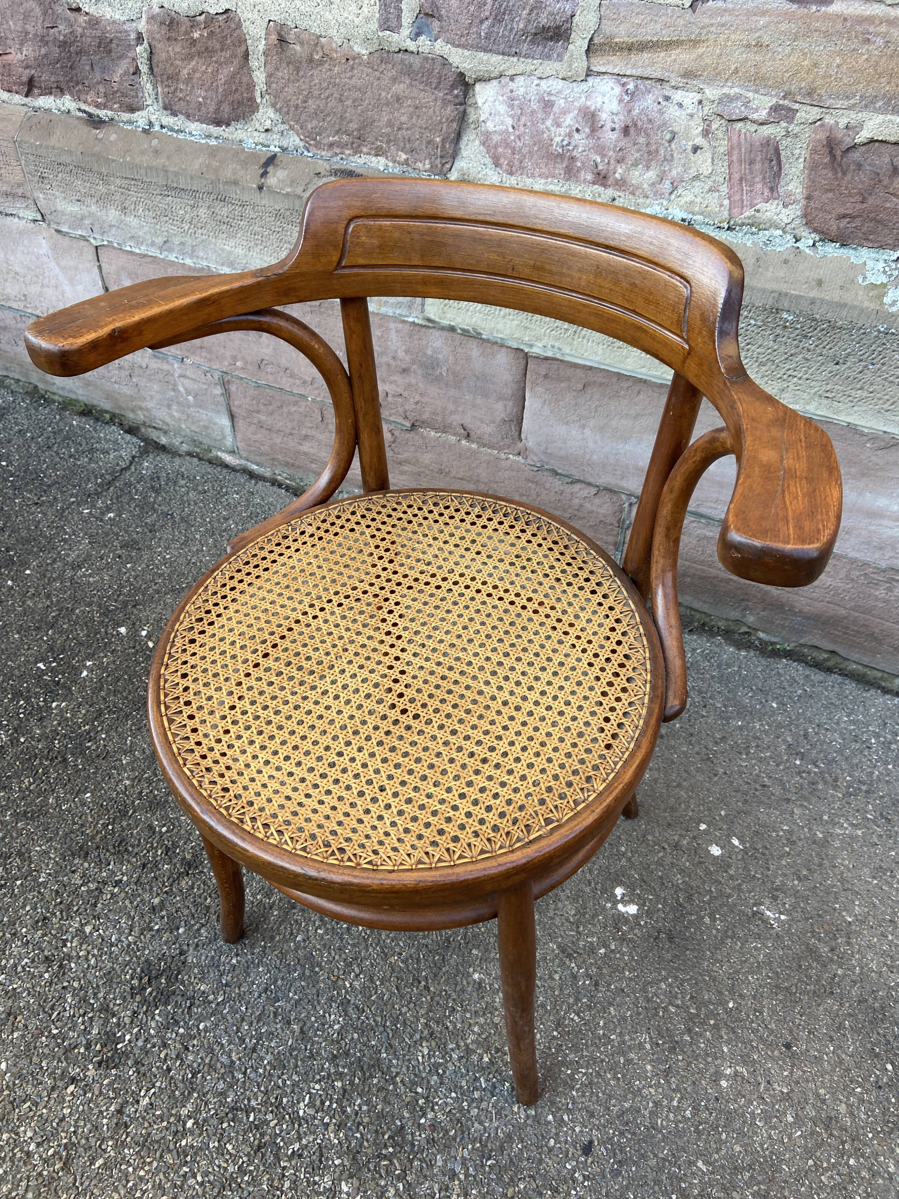 Viennese curved wood armchair Fischel circa 1920