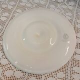 11 oyster plates + 1 Orchies Moulin des Loups dish