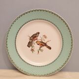 Suite of 9 flat bird plates