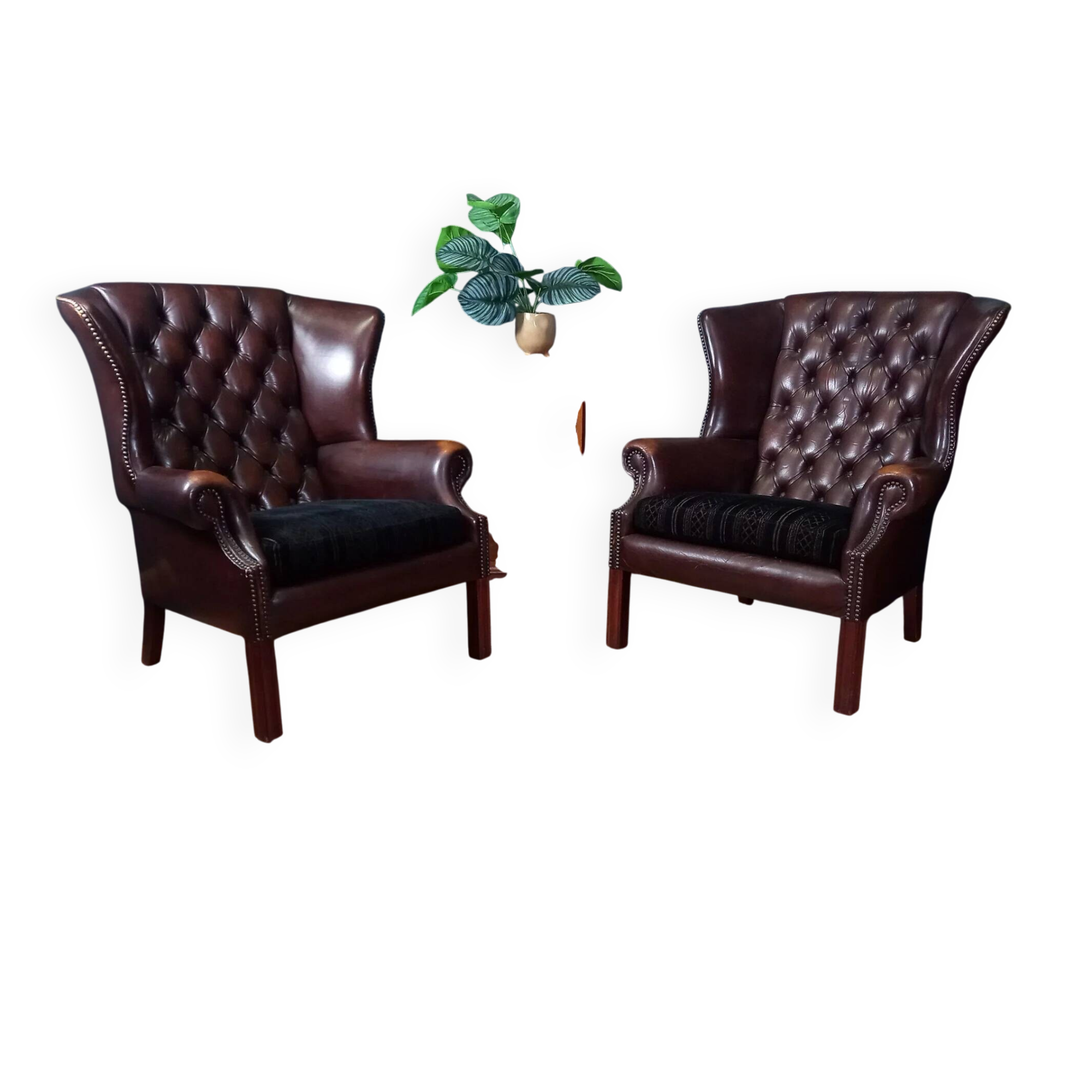 2x Chesterfield wingback armchair