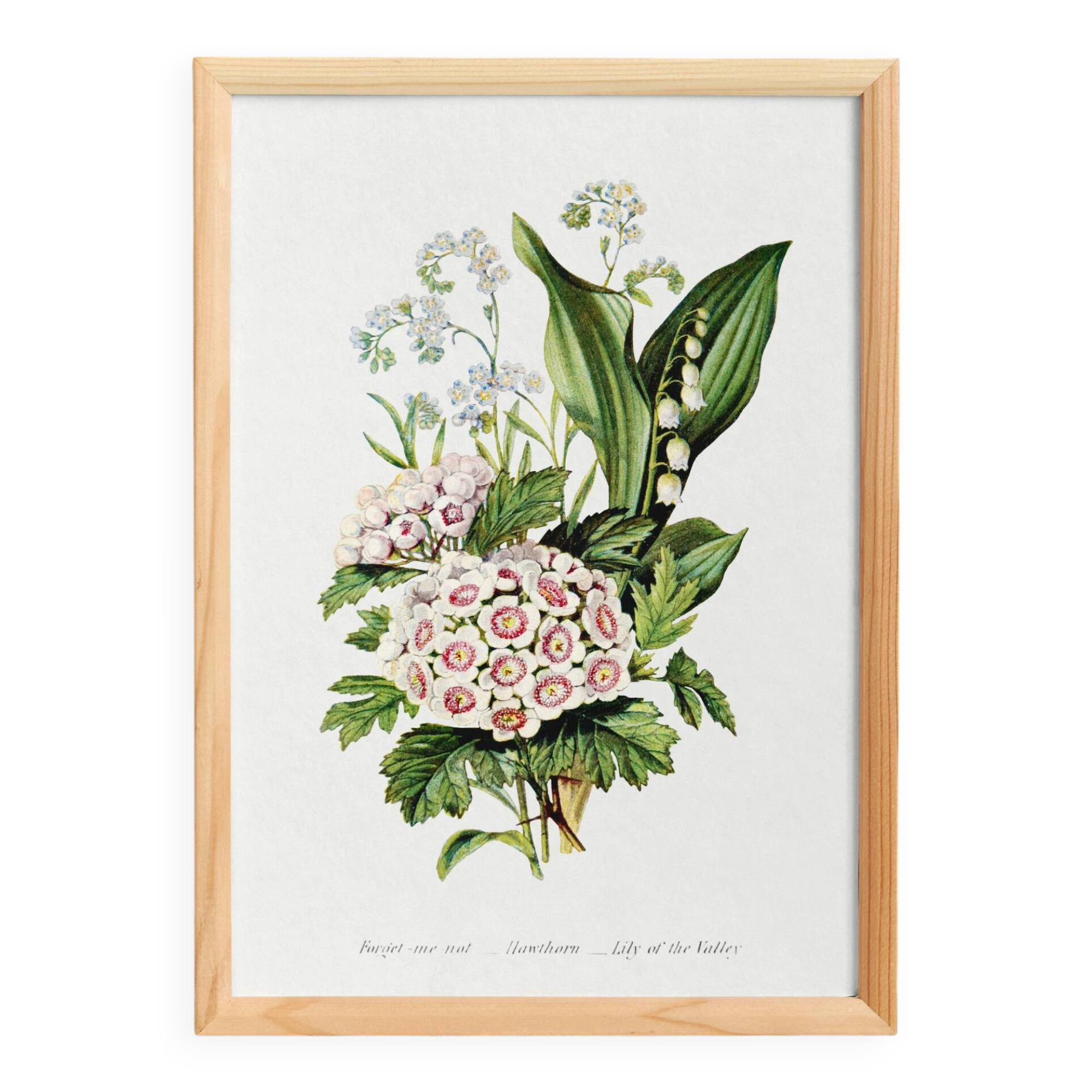 Poster about “lily of the valley, forget-me-not and hawthorn”