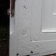 Entrance door 264x99cm old walnut oak wrought iron grille glass panel