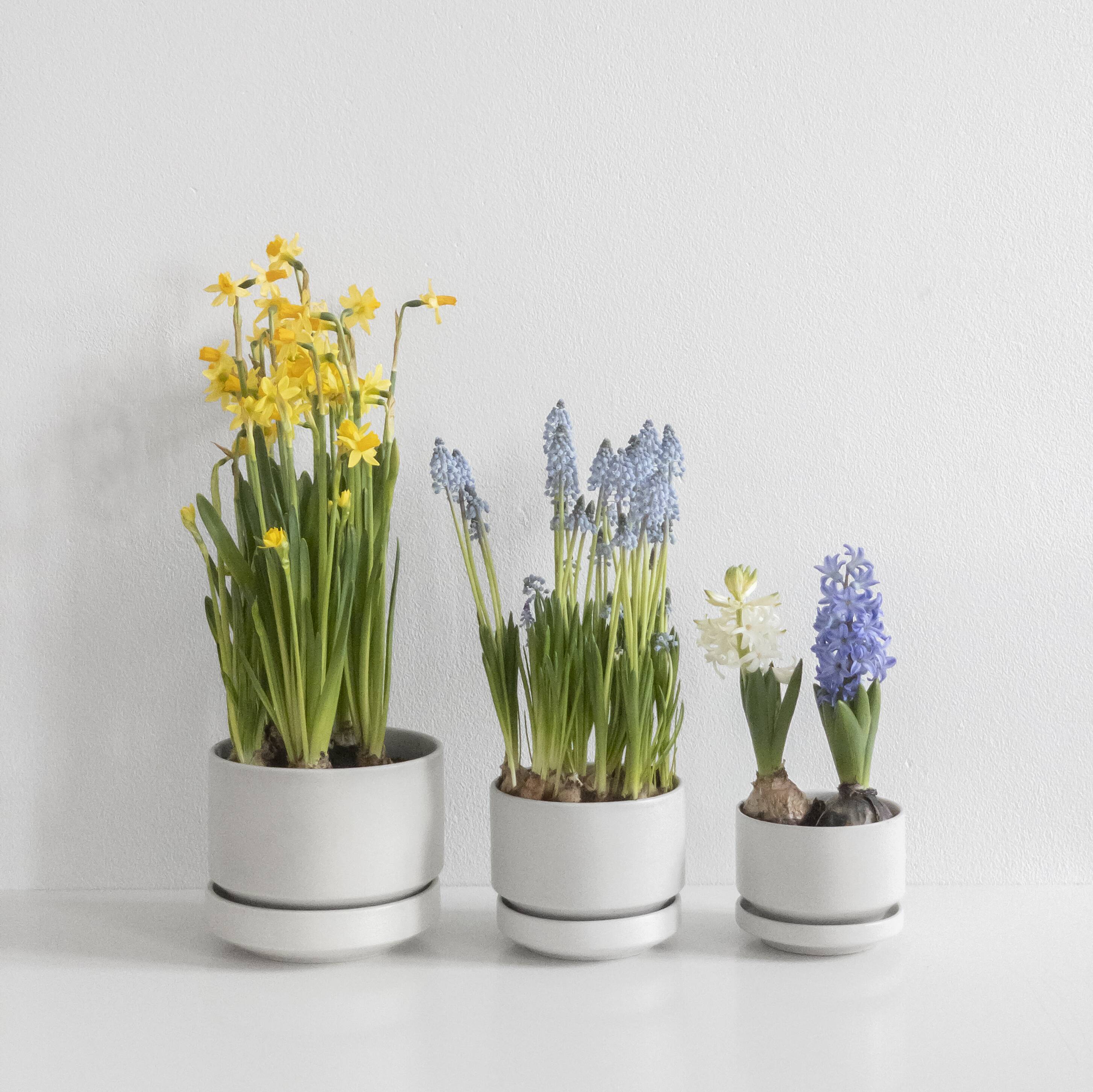 Midcentury flower pots by Richard Lindh for Arabia