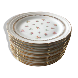 Assiettes AT CS&LG France en porcelaine