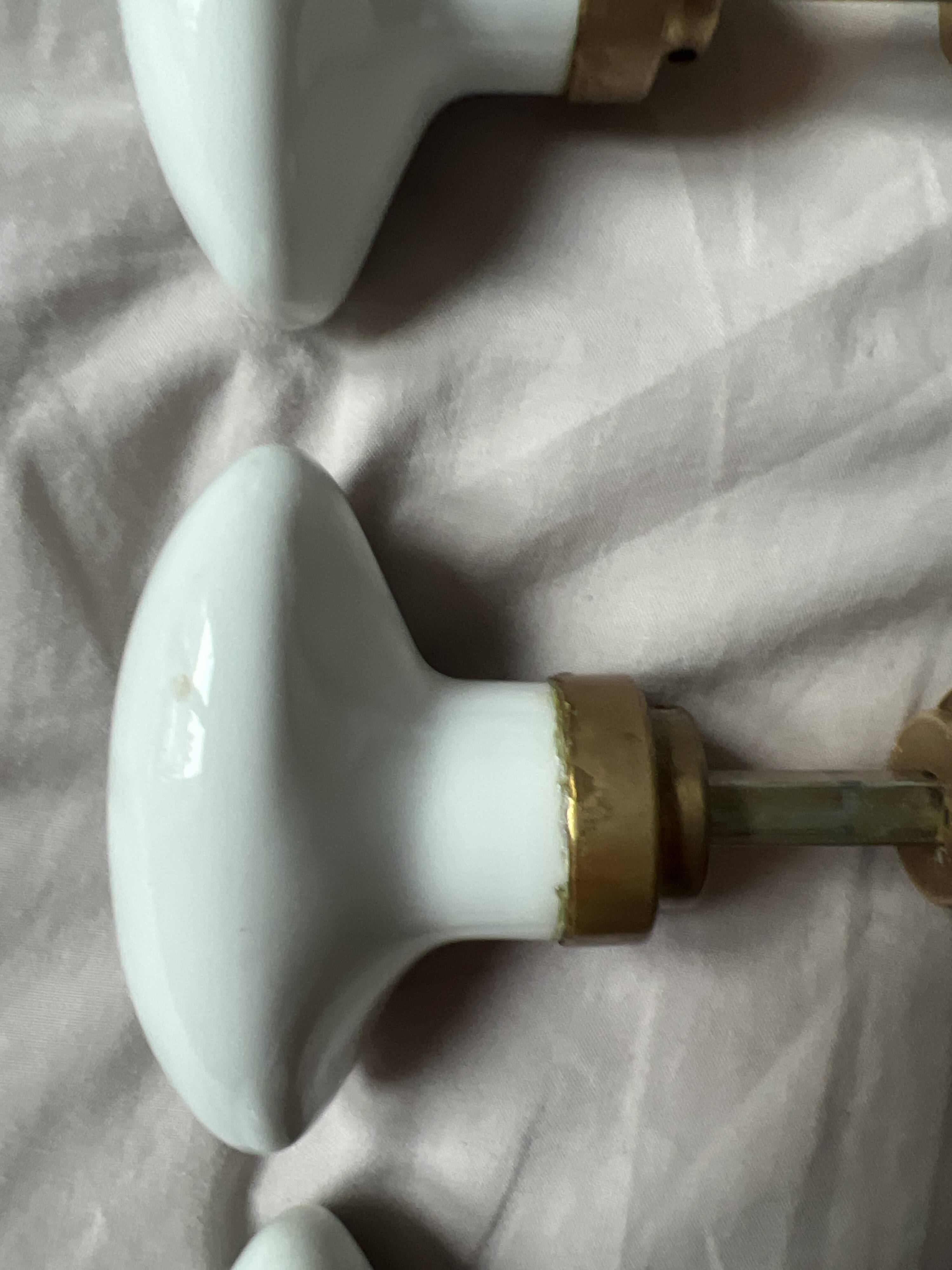 Porcelain and brass door knob