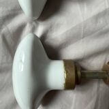 Porcelain and brass door knob