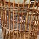 Wicker baskets