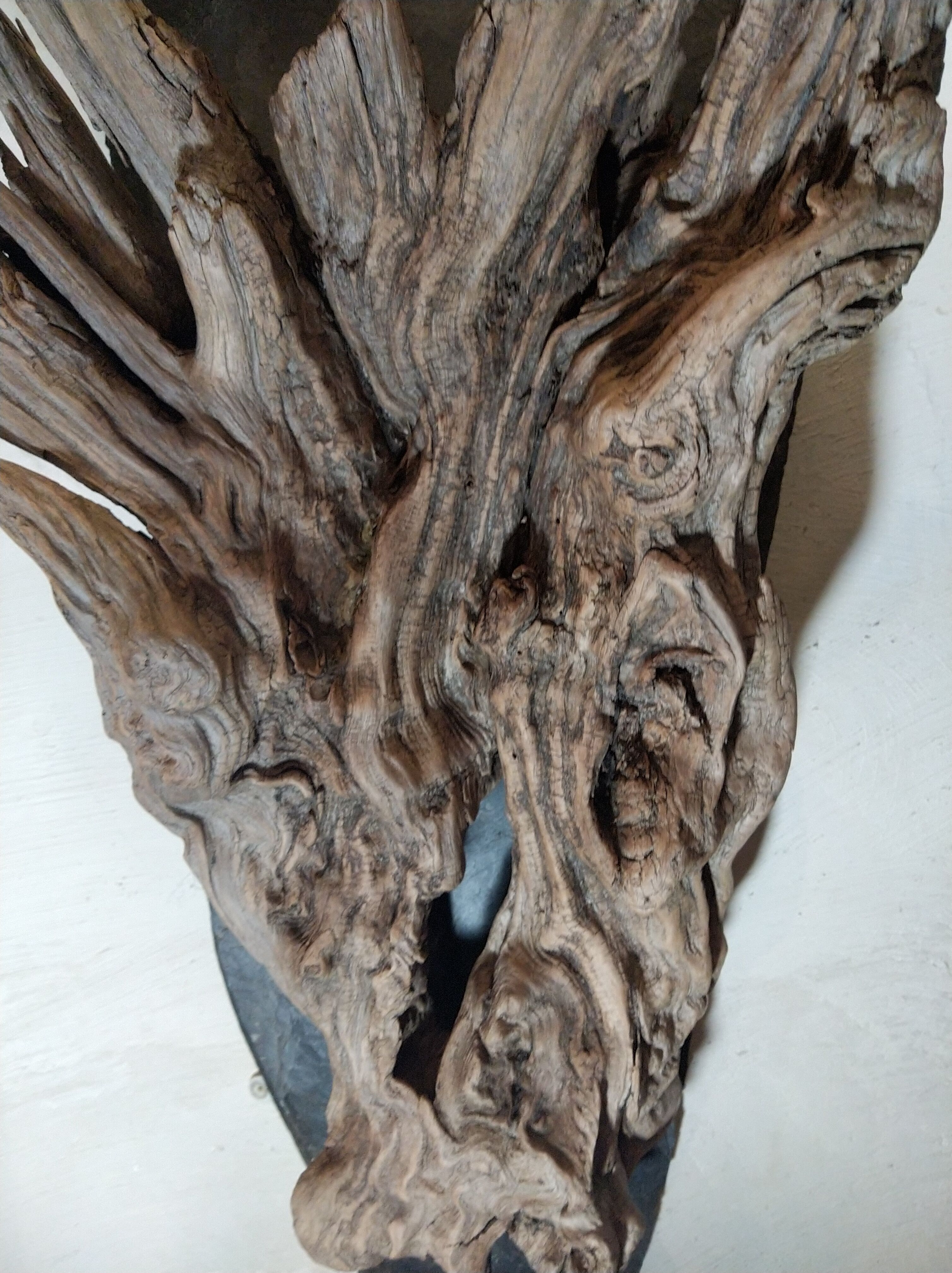 Natural wood sculptural coat rack