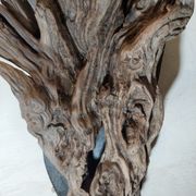 Natural wood sculptural coat rack