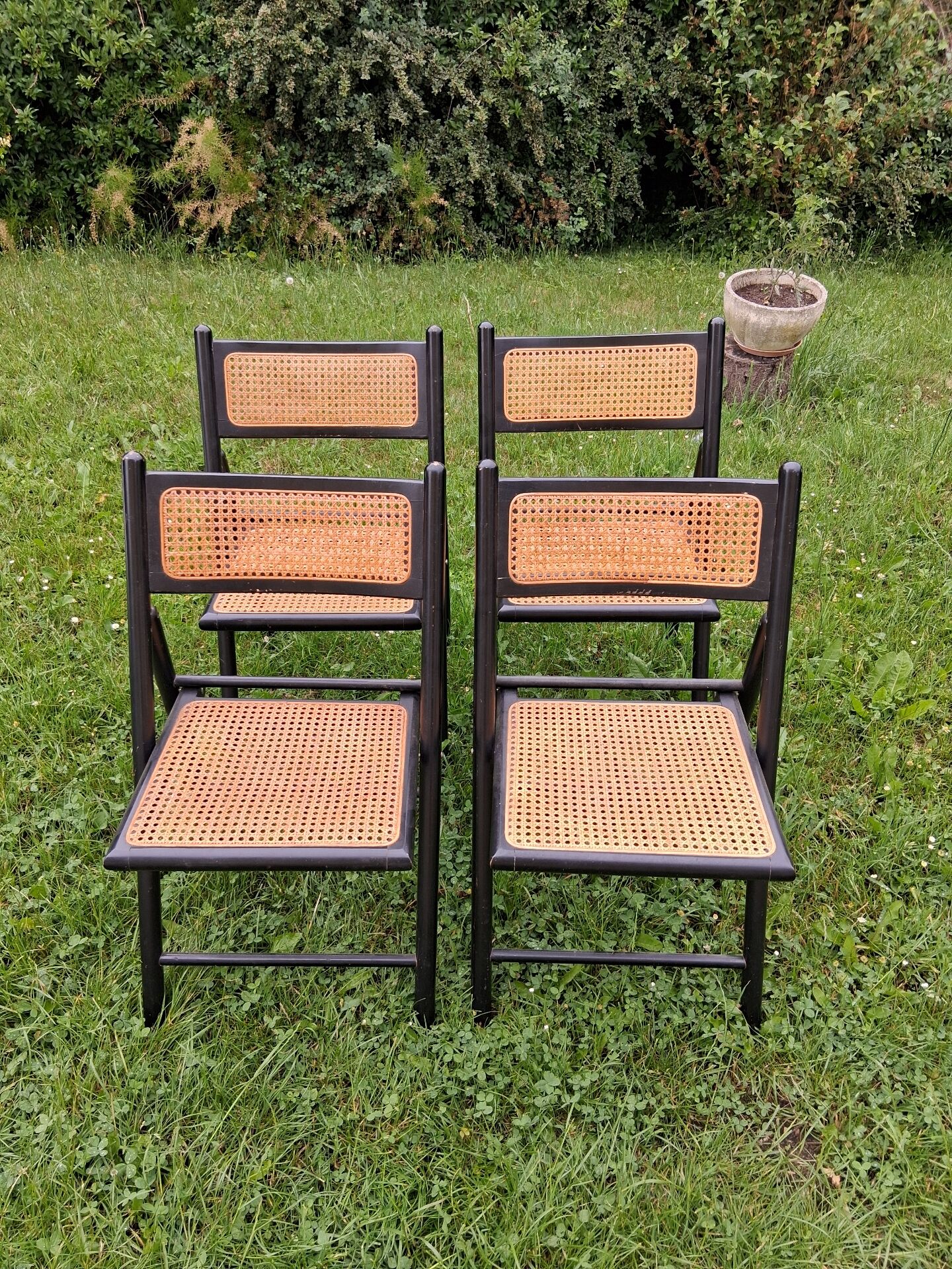 Chaises pliantes cannée