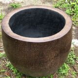 Massive coconut cacker