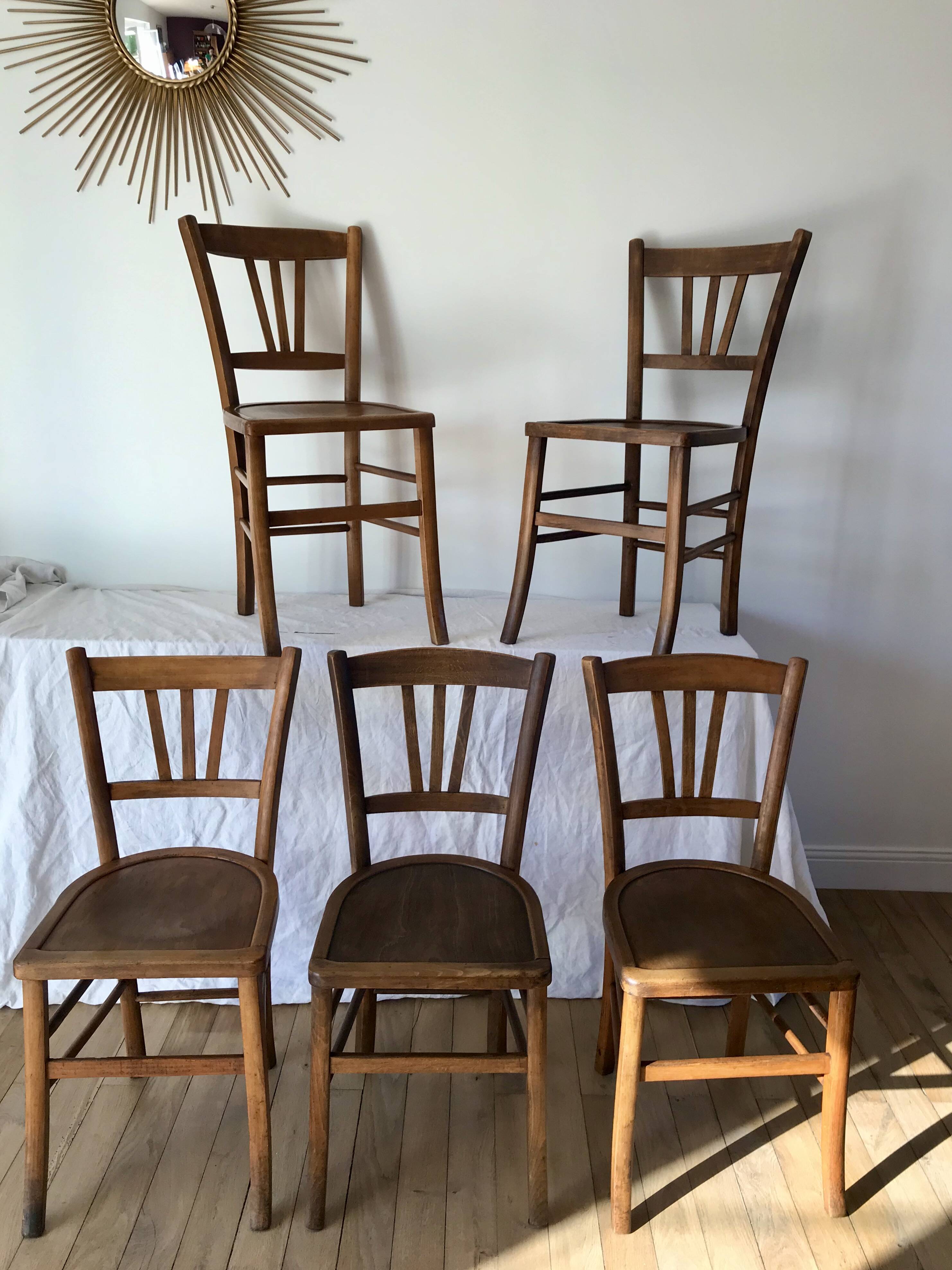 Set of 5 beech wood bistro chairs from the 1950s