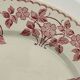 6 assiettes plates Terre de Fer U&C Sarreguemines – Modèle Biarritz