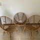 Vintage rattan shell chairs