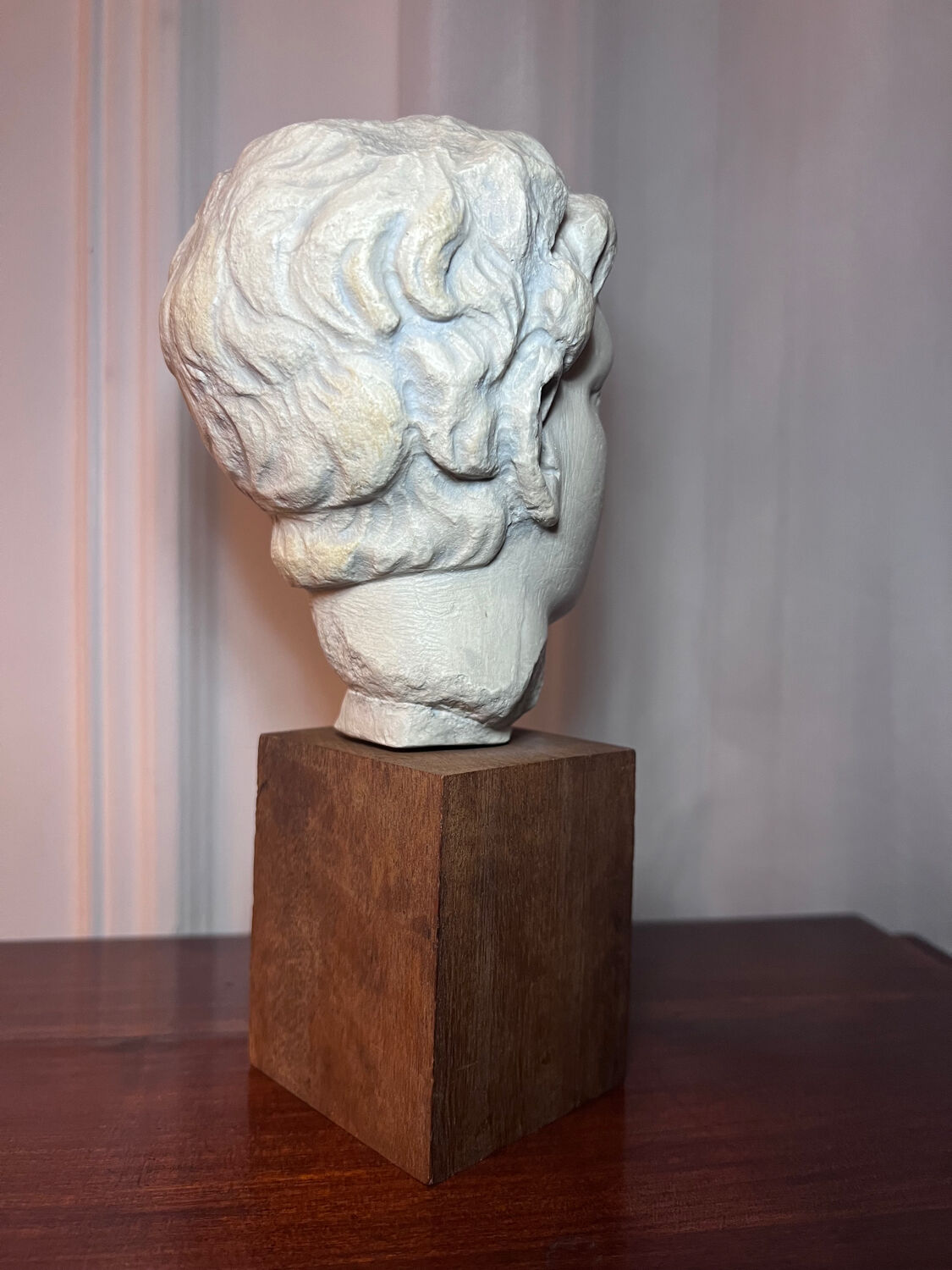 Bust, head of a young man - reproduction from the museum of Sens