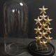 Cabinet of Curiosities starfish globe protoreaster nodosus