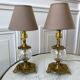 Pair of table lamps in bronze and glass early twentieth century