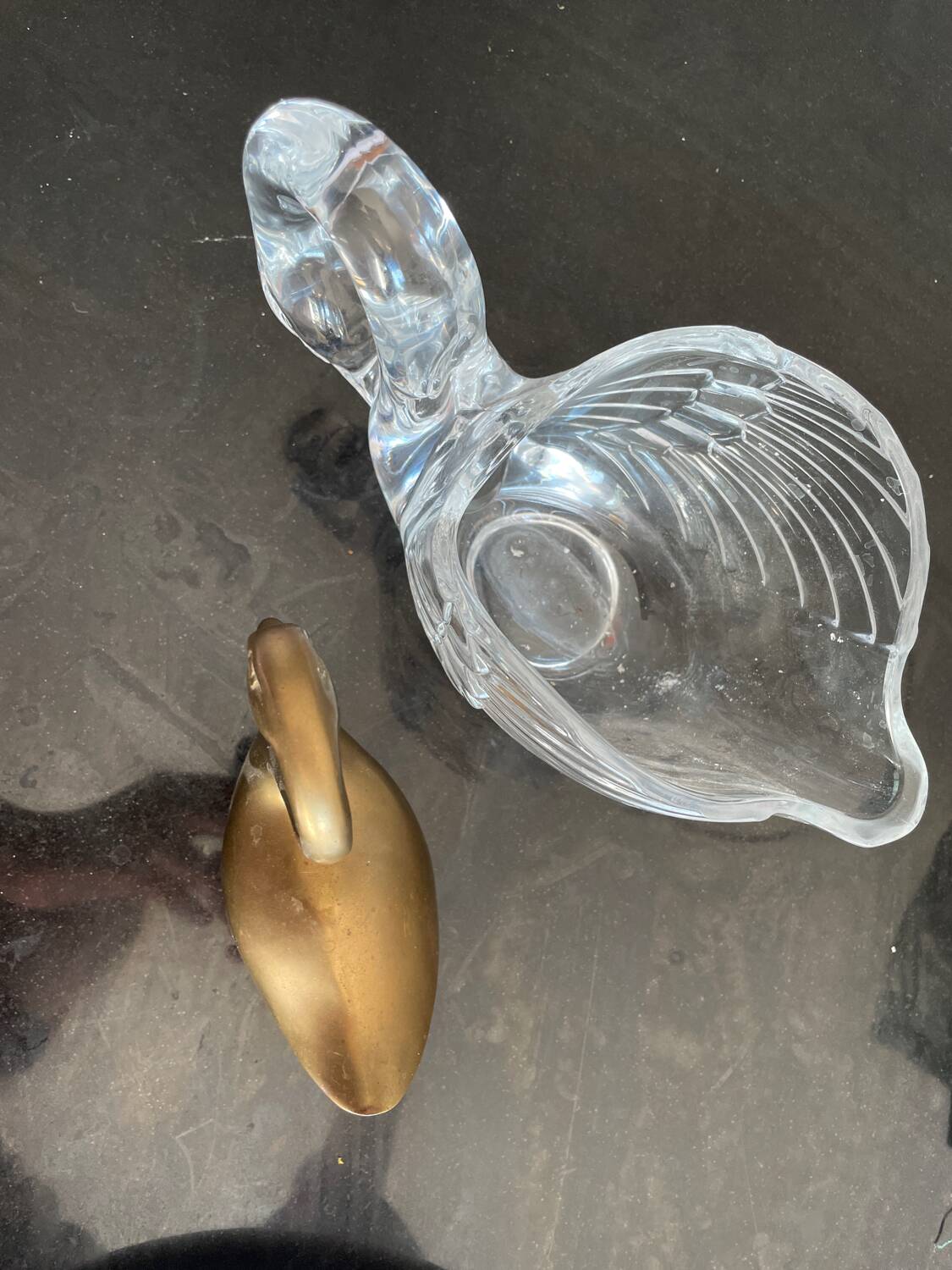 Swan