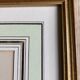 Framed engravings "animated flowers" - JJ Grandville
