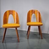 1960s Antonin Suman set of four dining chairs in walnut finish, Czechoslovakia