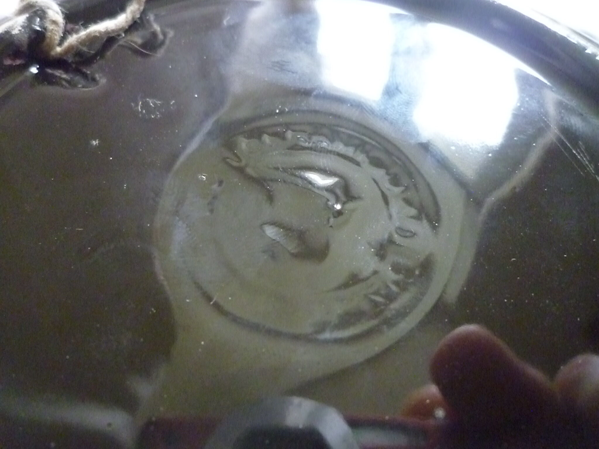 Decorative plate slurry style Vallauris theme fish