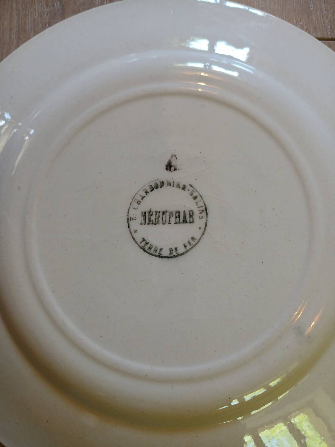 14 Terre de fer SALINS "Water Lily" plates