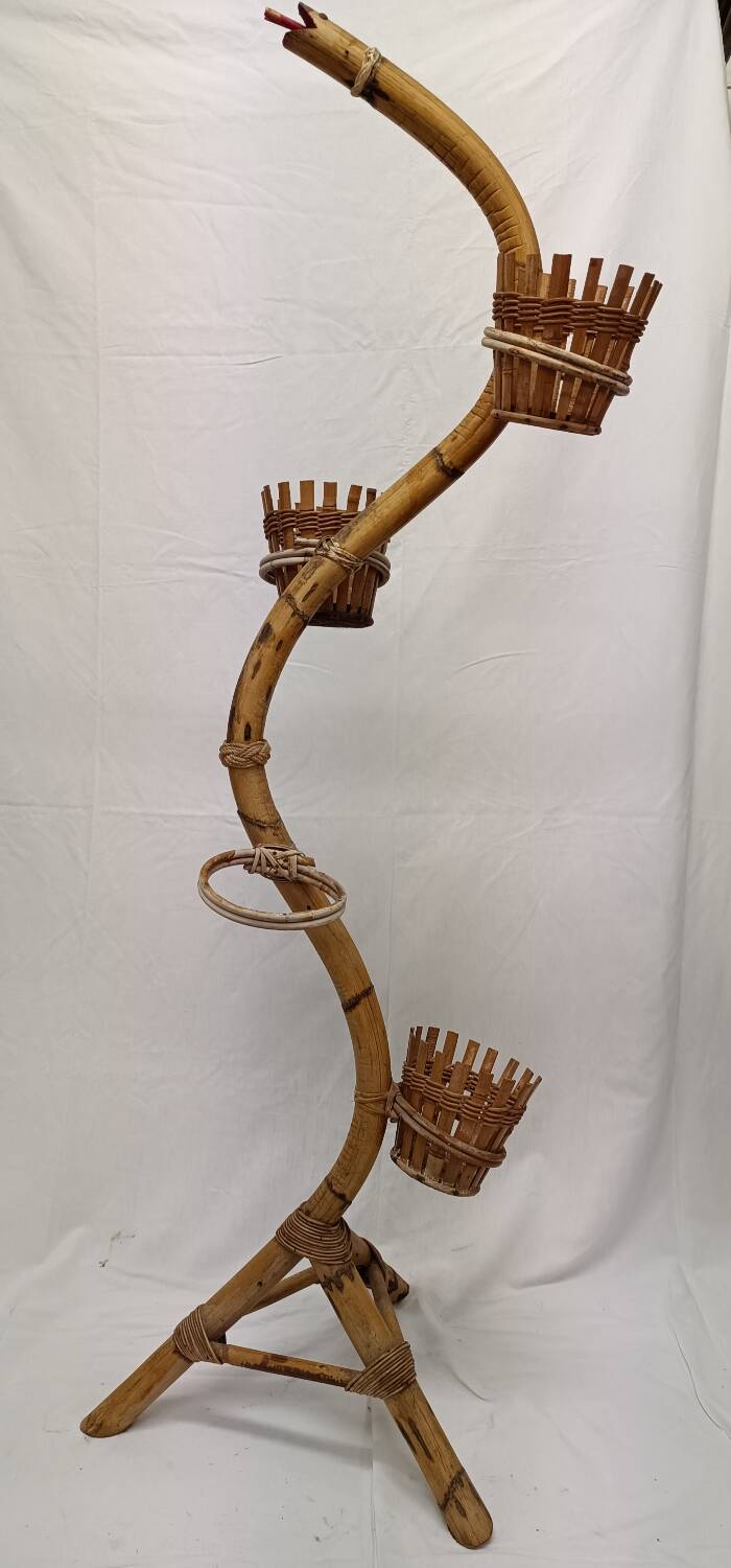 Bamboo snake