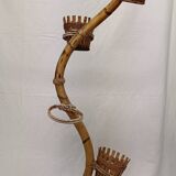 Bamboo snake