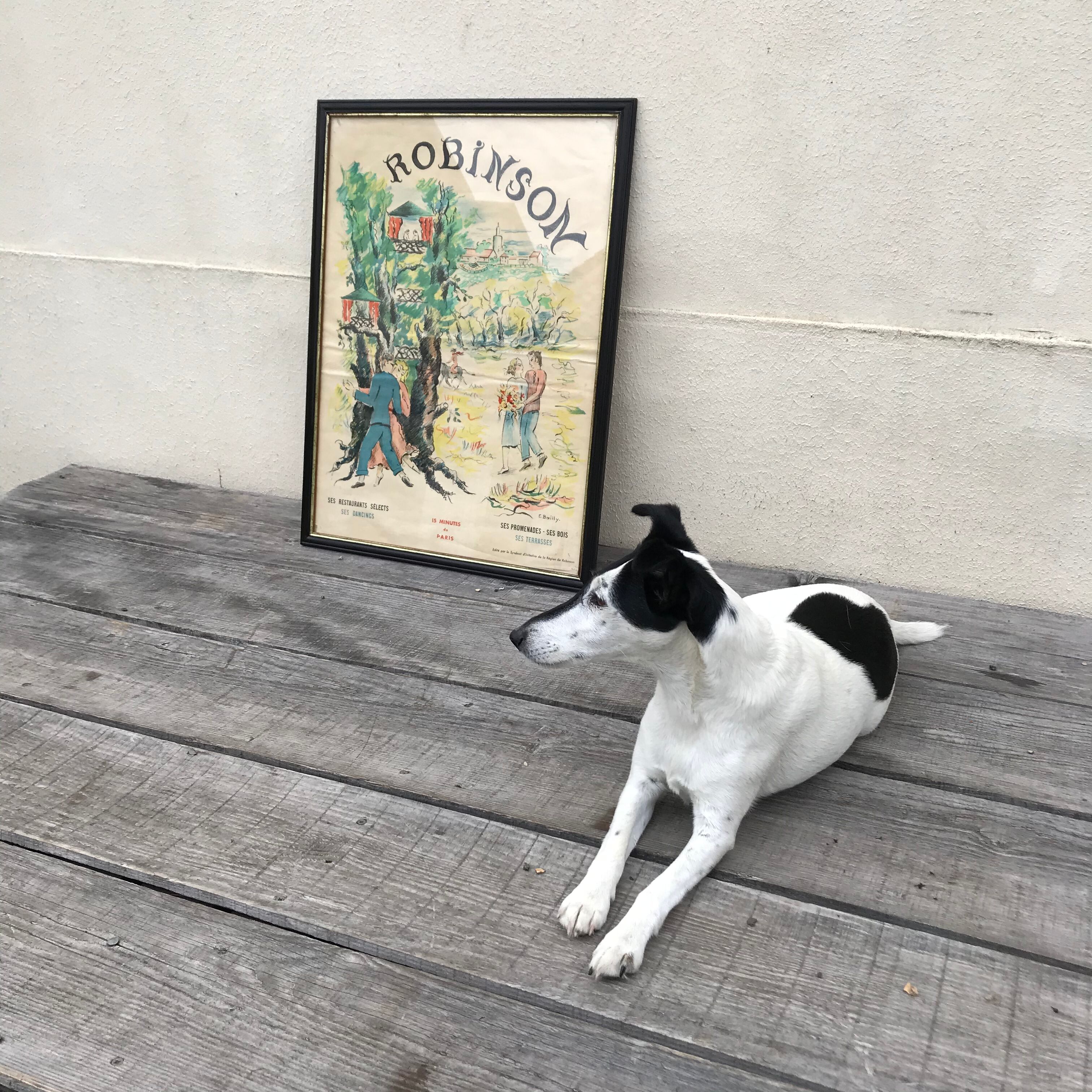 Original Robinson framed poster