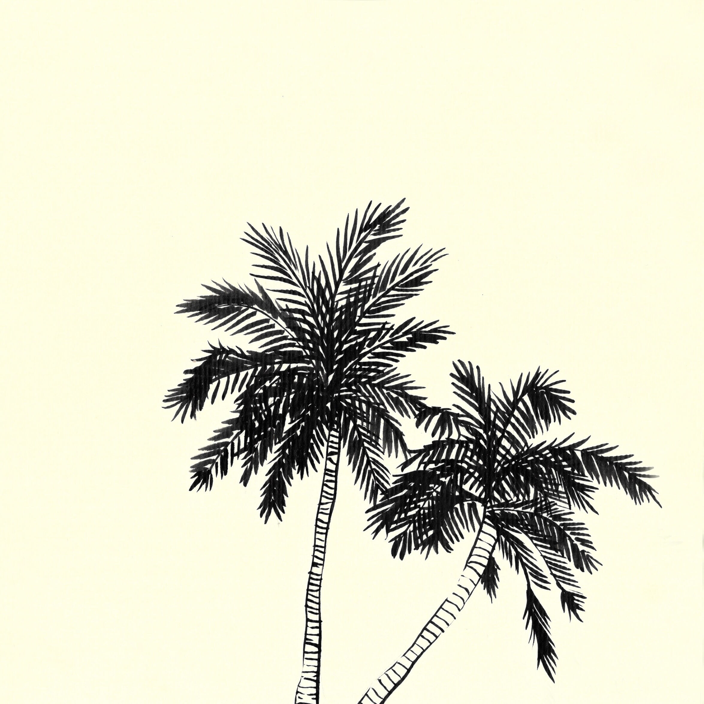 Jungle 03