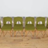 Shell Chairs from Bydgoszcz Furniture Factory, Poland, 1960s, Set of 6