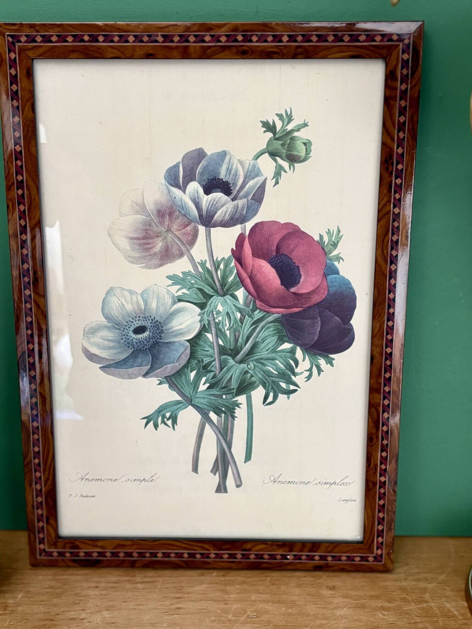 Vintage frame drawing of anemones by Redouté.