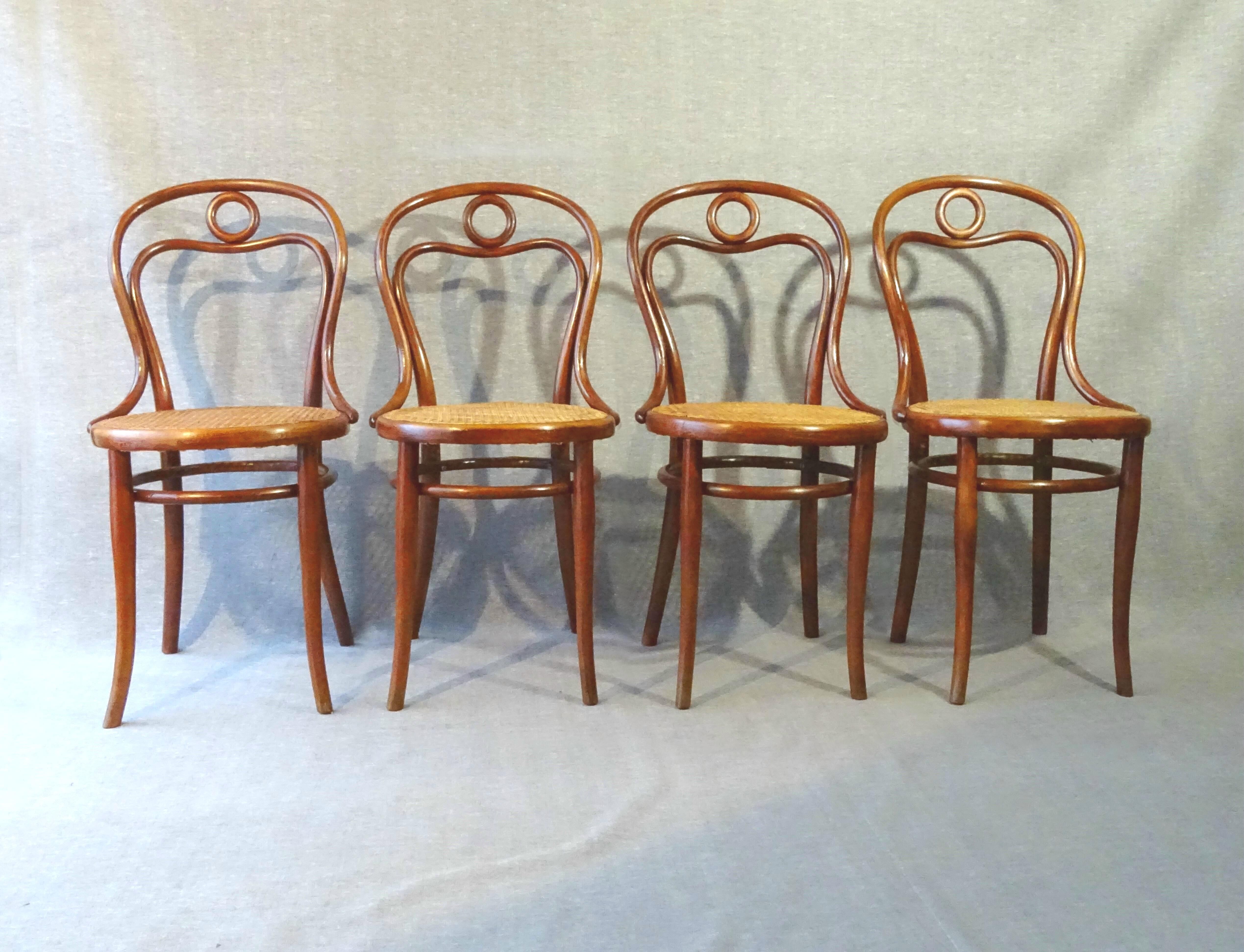 Set of 4 chairs THONET N°31, circa 1880, new cannages