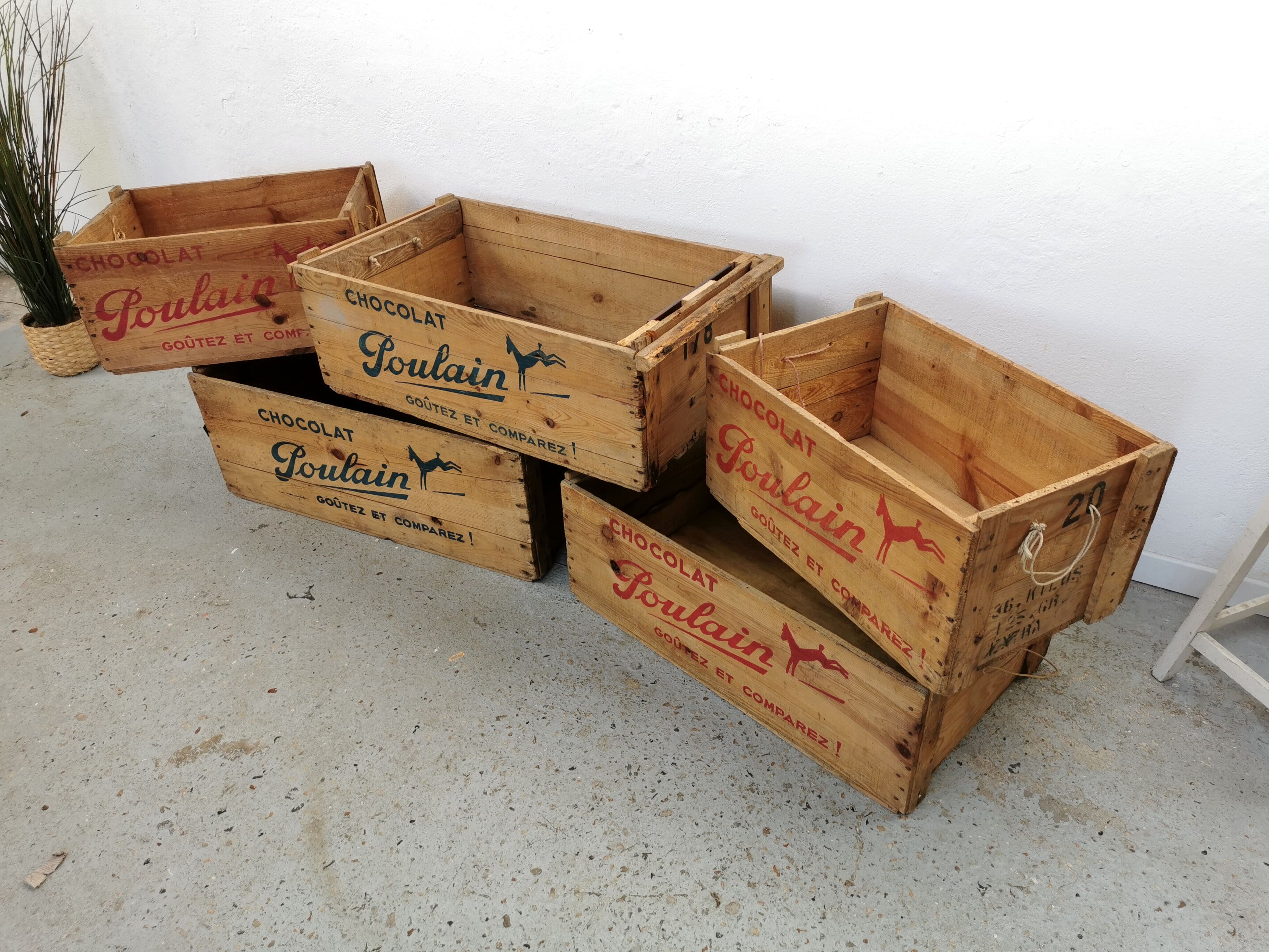 Wooden chocolate poulain case 1950