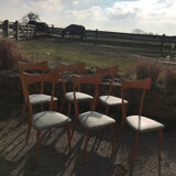 Set of six Ico Parisi chairs