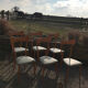 Set of six Ico Parisi chairs