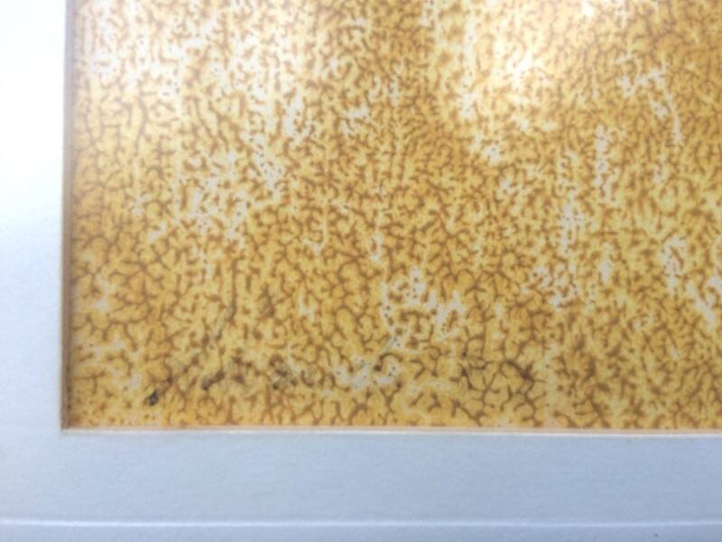 Pastel 'Flowers'. Vintage 70s