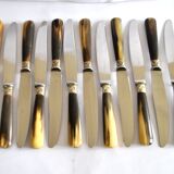 Set of 12 vintage table knives with horn handles and stainless steel blades RENEKA 24.5 cm