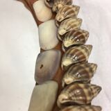 Hand facing decoration shells year 60/70