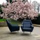Pair of vintage modernist armchairs 50s