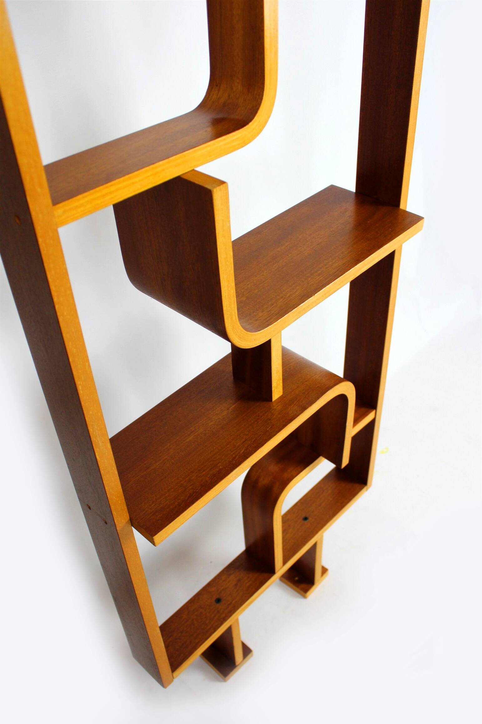 Mid-Century Room Divider by Ludvik Volak for Drevopodnik Holesov, 1960s