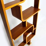 Mid-Century Room Divider by Ludvik Volak for Drevopodnik Holesov, 1960s