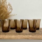 6 small smoked glasses