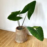 Vintage Rattan Pot Cache