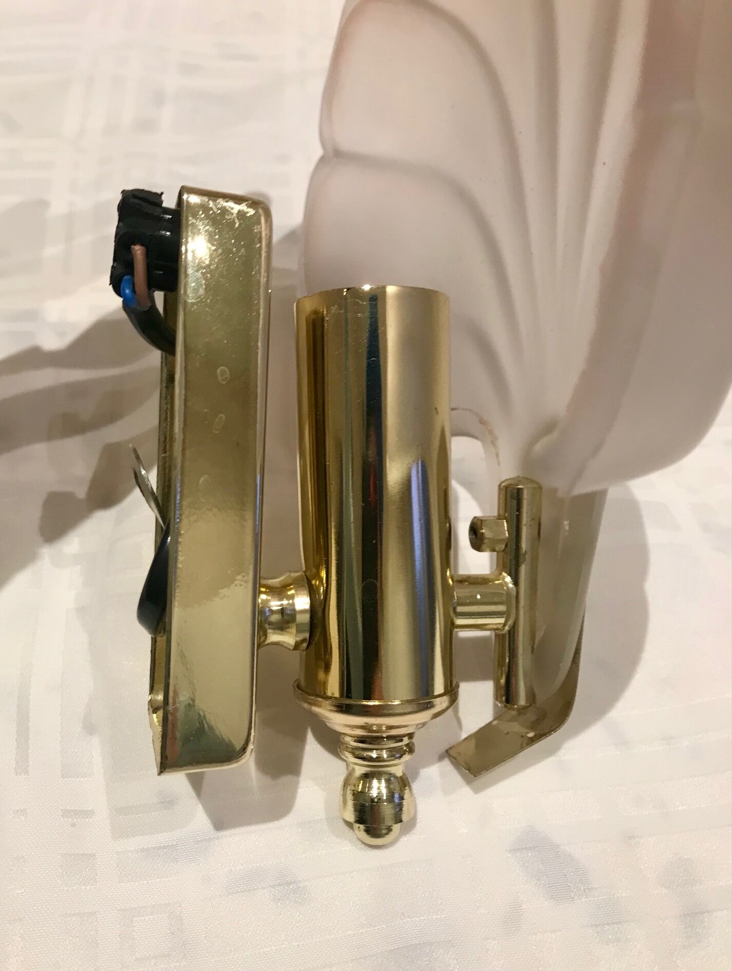 Pair of shell sconces