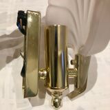Pair of shell sconces