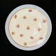 Porcelain pie service of limoges 50 years