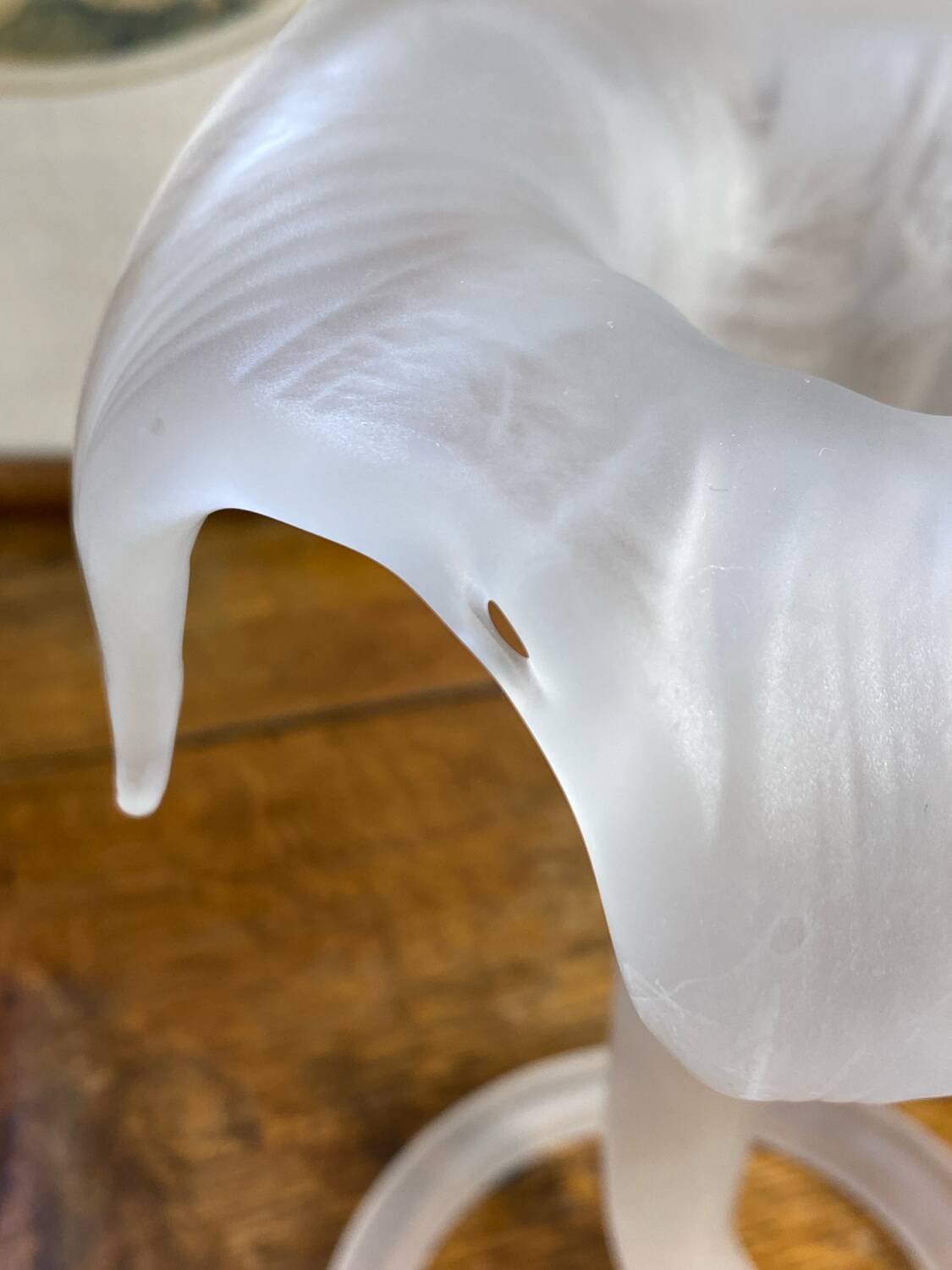 Frosted glass corolla flower vase